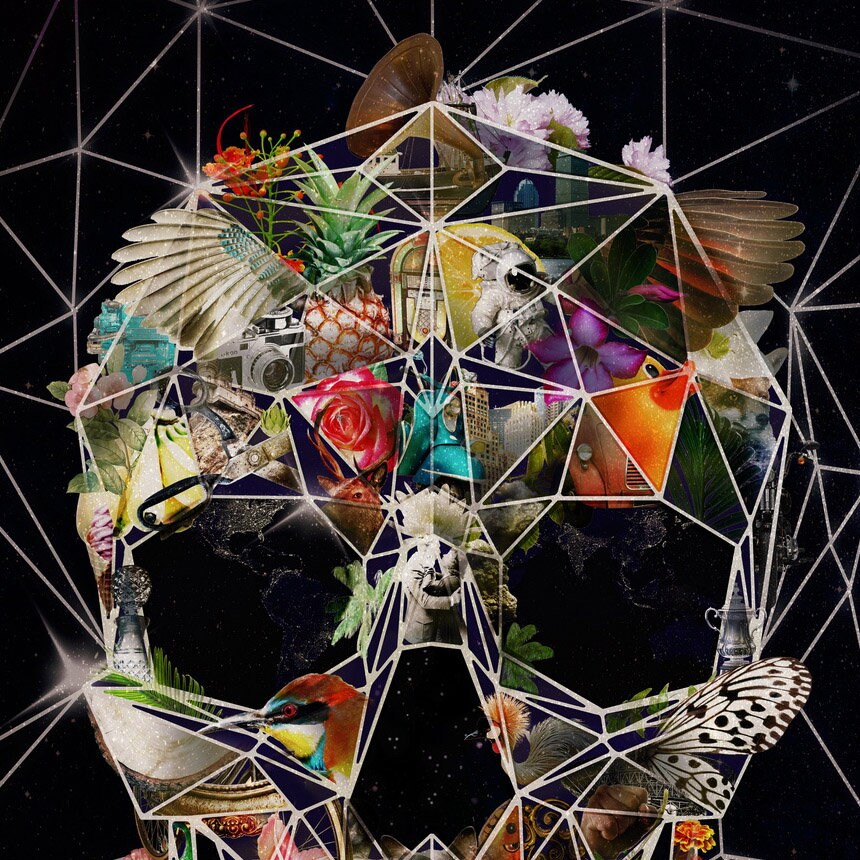 Fragile Skull Poster, Digital Skull Art Print, Sugar Skull Wall Art, Abstract Skull Poster Home Decor, Geometric Illustration By Ali Gulec